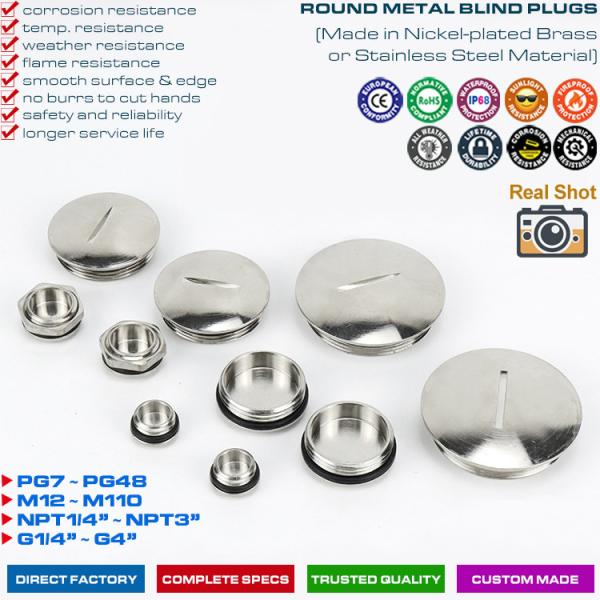 Quality 304, 316 Stainless Steel (Brass) Round or Hexagonal Blind Plugs Blanking Plugs with PG7~PG48 & M12~M110 threads wholesale