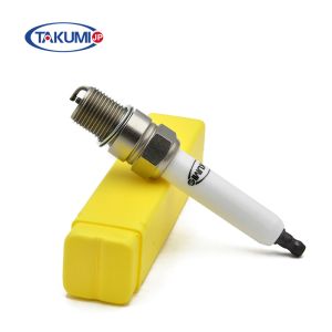 R5GL12-77 Pre-Chamber Spark Plug for MWM L1863B L1863DP L1863IP with Double