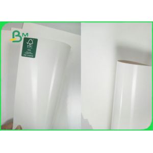 C1S Ivory Board Poly Coated Paper 300gsm + 15g PE 70 X 100cm For Cup Making