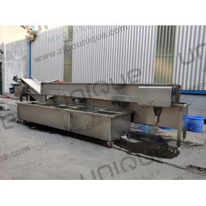 Design Alfalfa / Micro Greens Vegetable Bubble Washing Machine for Food Beverage