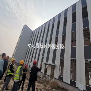 Custom Prefabricated Steel Structure Building Q235B Q345B Flat Pack