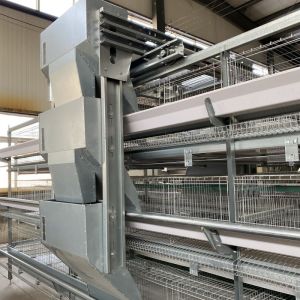 Egg Chicken Poultry Farm 3 Tiers 4 Tiers H Type Automatic Battery System Chicken