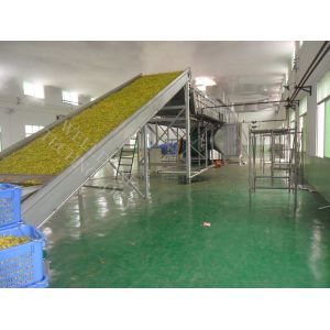 Large Scale Infrared Conveyor Dryer , Adjustable Moving Speed Conveyor Belt Oven