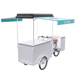 Multipurpose Commercial Ice Cream Scooter Trike With Full Function Configuration
