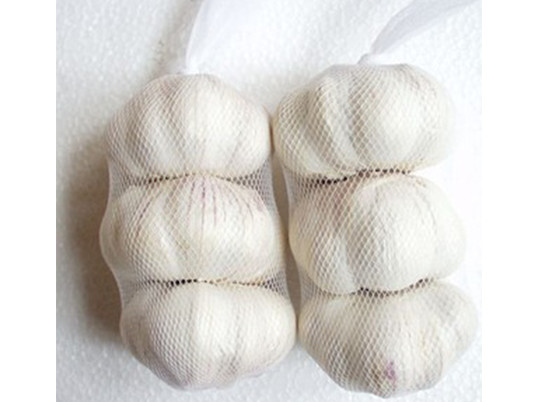 Quality Garlic mesh bag wholesale