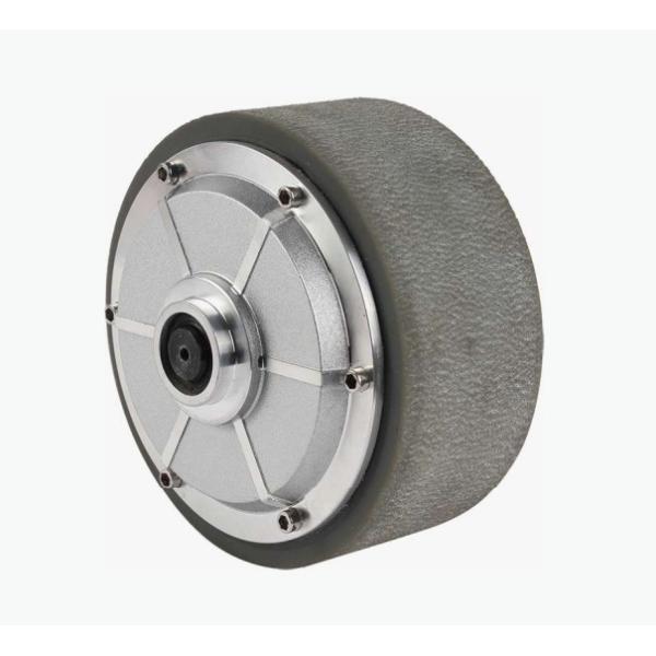 DC 40NM 8 Inch Hub Motor Wheel , 300kg Mecanum Agv Hub Servo Motor For Mobile