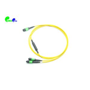 2 Meter Standard Loss Senko 24F MPO (F) to 2 X 12F MPO(F) Trunk Cable SM 9/125um