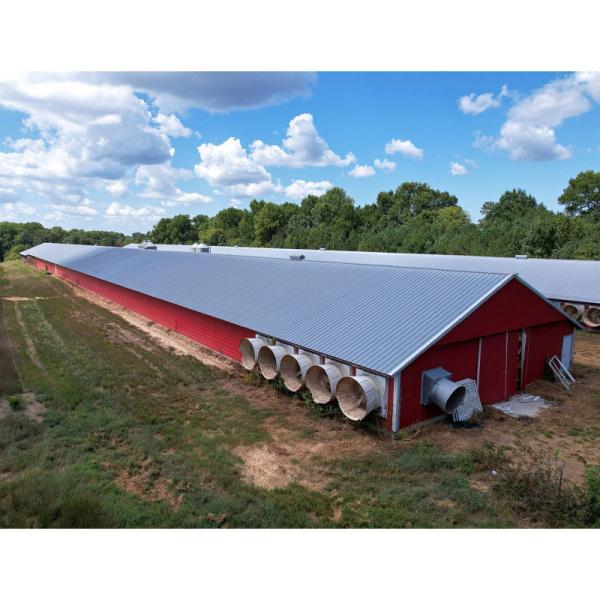 Q235B Q355B Steel Structure Chicken House , Economical Prefab Steel Structure Building