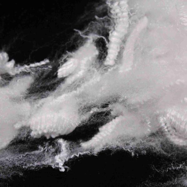 Quality Eco-Friendly Hollow Polyester Fiber 1.33D siliconized Lightweight White wholesale