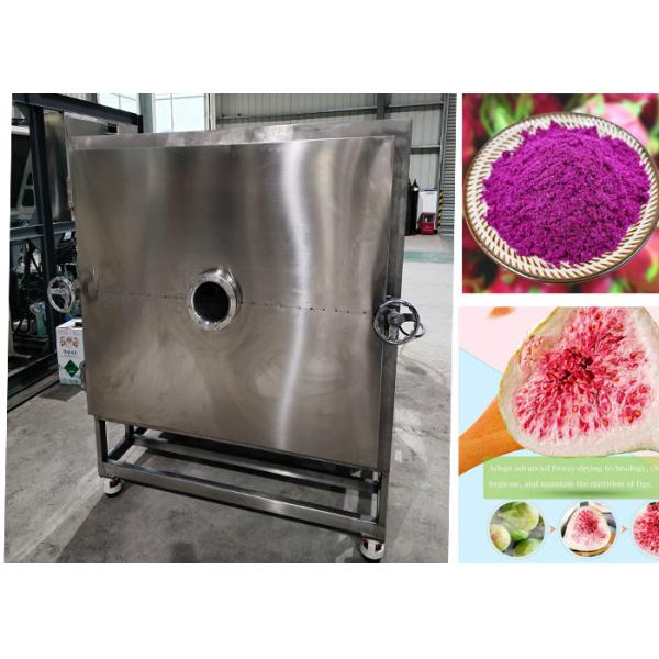 Quality Diy Stayfresh Freeze Dryer With PLC Control System wholesale
