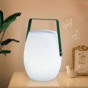 led moon light with speaker for camping