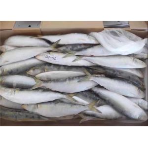Sardinops Melanostictus Whole Round Fresh Frozen Fish For Canning