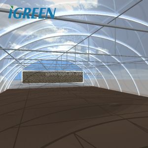 5m Roof Height Single Span Greenhouse Smart Chinese Style Greenhouse