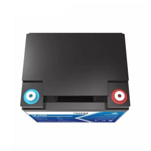 BMS 166mm Solar Lithium Ion Battery Lifepo4 12v 36ah Excellent Discharge