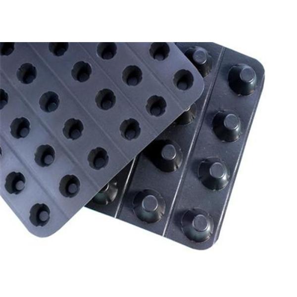 Quality Geocomposite Drain Plastic Dimpled Drainage Board For Water Percolation wholesale