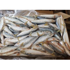 A Grade 50g-60g Pacific Mackerel Fresh Frozen Seafood