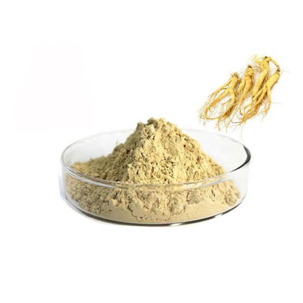 Pharmaceutical 80% Panax Root Natural Ginseng Extract Powder