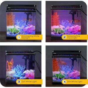 Smart 4 Gallon Desktop Betta Office Fish Tank