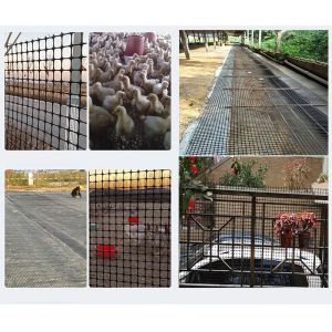 Road Construction Essential 50kn/M PP Biaxial Geogrid with CE/ISO9001 Certificat