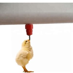Auto Broiler Nipple Drinker With Cup Nipple System In Poultry Farm