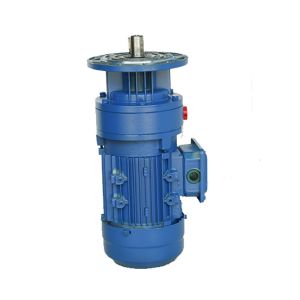 Small Flange Mounting Cyclo Gear Reducer Pinwheel For Concrete Mixer