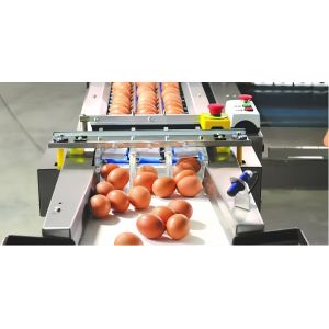 Industrial Chicken Egg Washing Machine Automatic Chicken Egg Processing Line