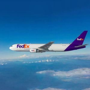 FEDEX International Express Delivery Services Fast Speed Strong Customs