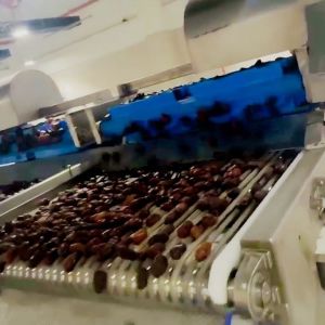 Industrial Dates Sorting Machine