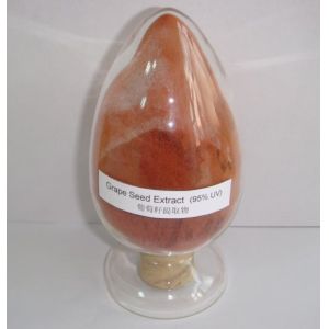 Grape Seed Extract 70%-85% polyphenols UV --Vitis vinifera L with rich