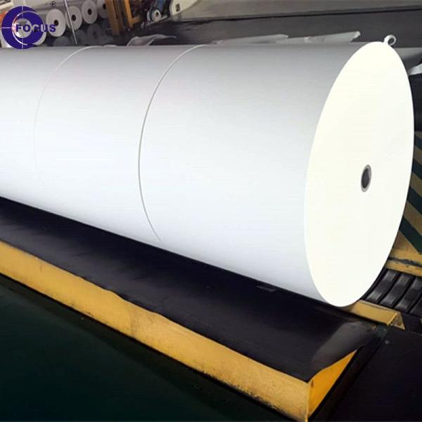 3 1/8 Roll Diameter Thermal Paper Jumbo Roll 45gsm / 55gsm / 60gsm / 70gsm