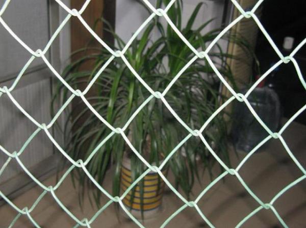 Quality Wholesale 50*50mm pvc coated chain link fence manufacturers in uae with ru standard wholesale