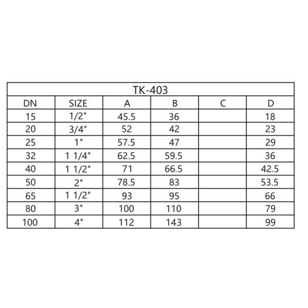 DN15 20MM Brass One Way Female Non- Return Valve Forged Brass Spring Check Valve