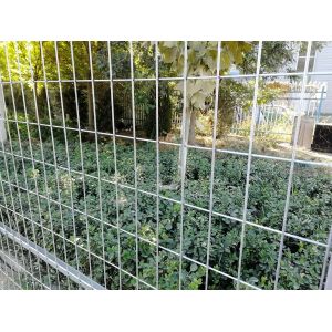 American Market Standard 6 X 12 Ft Galvanized Temporary Chain Link Fence Panels