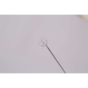 Visualization Wire Stone Retrieval Basket With CE Certificate