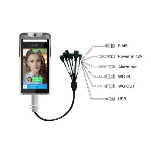 Cheap Linux Ip65 Face Recognition Terminal With Temperature Measurement for sale