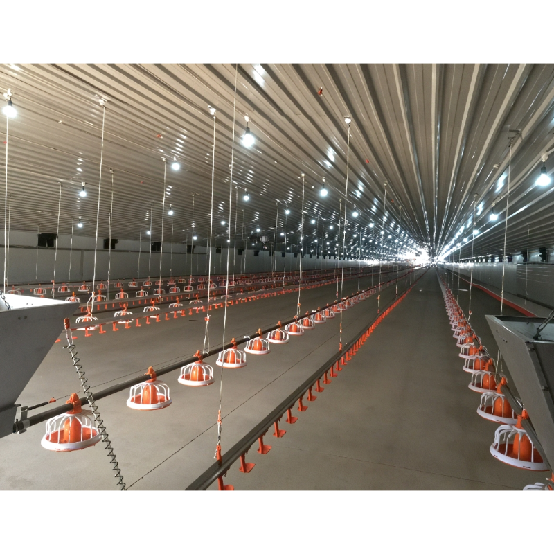 Automatic Prefab Steel Structure Chicken House Q235 Q345 Steel Frame Shed House