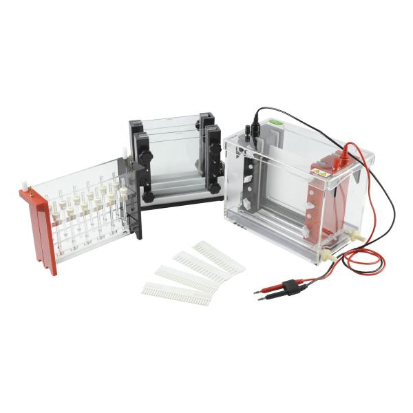 Quality Mini Id Tube Gel Electrophoresis System～2500ml Buffer Volume Jy-sx3 2d wholesale