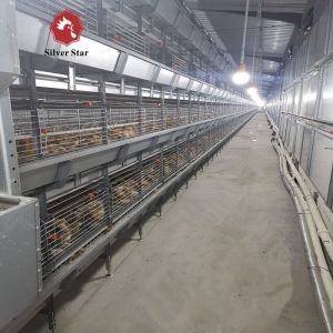 H Type Automatic Battery Chicken Cages Poultry Farming Galvanized 4Tiers