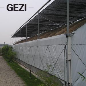 Green House hdpe 70% 90% 95% Sun Shade Rate Net Vegetables Supplier for Olives