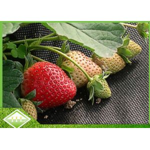 Anti UV PP Nonwoven Fabric For Weed Control / Covering Landscape Custom Weight