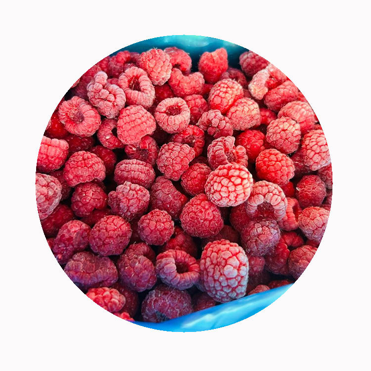 High Quality Fresh Frozen Raspberry Handpicked for Sweet Taste for Juices