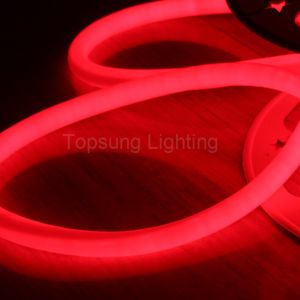 New arrival red neon led round tube 100 led 24v