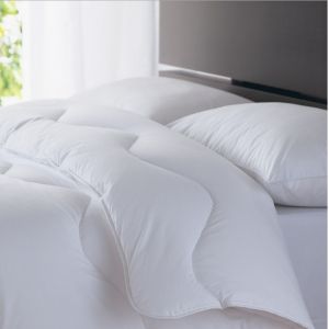 Supply Goose down and duck down King, Queen size Down Quilts, Duvets