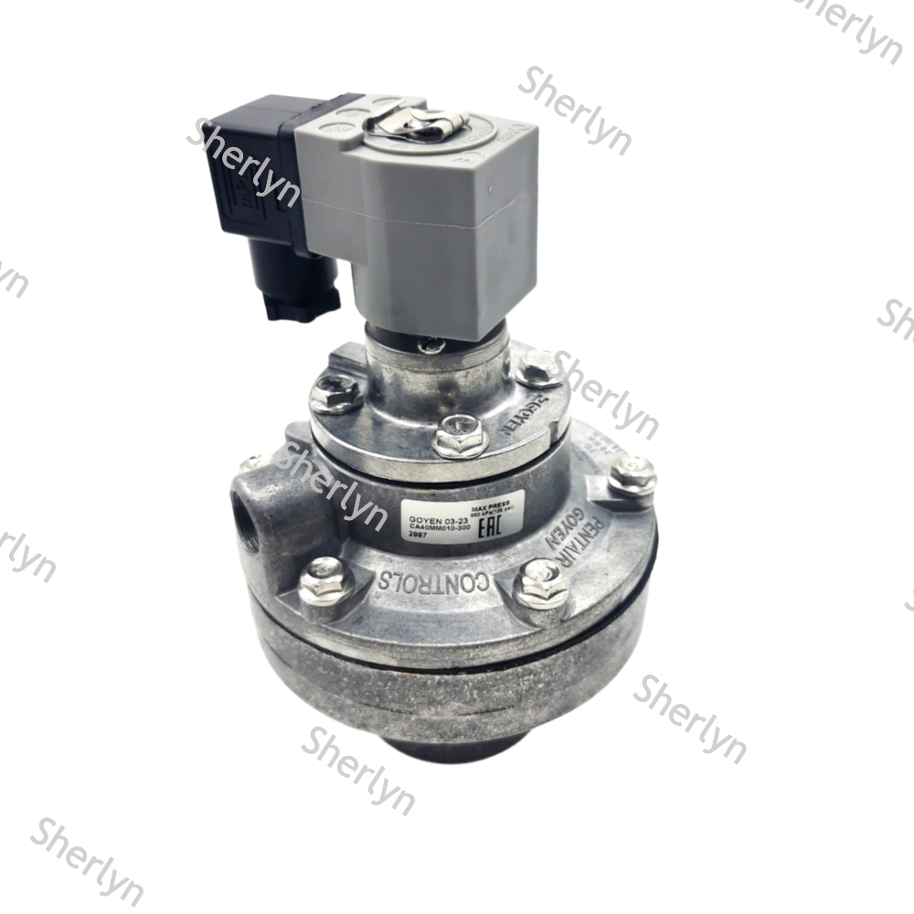 GOYEN Pulse Valve CA40MM 1 1/2 ''