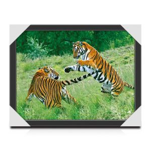 Bedroom 3D Lenticular Pictures With Deep Look 3D Effects 40x60cm Size
