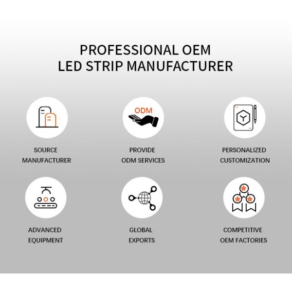 DC12V 24V Waterproof IP68 PU Neon Flex Swimming Pool Silicone Dimming LED Strip Lights