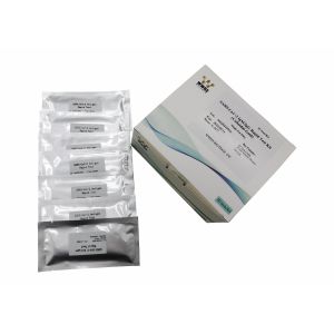 Cheap WWHS SARS-CoV-2 Antigen FIA Rapid Quantitative Test Kit POCT Assay for sale