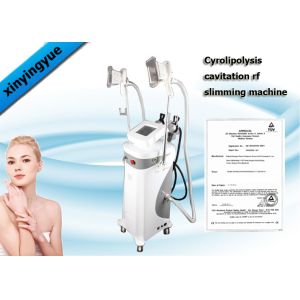 Professional Cryolipolysis Fat Freeze Slimming Machine with Cooling System