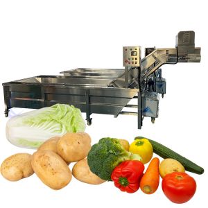 Stainless Steel Fish Washing Machine Practical Stable For Fruit And Vegetable