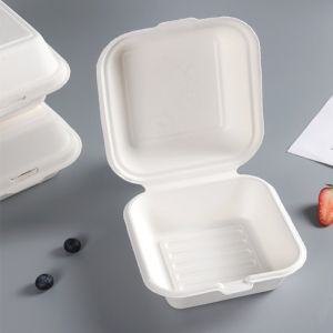 custom biodegradable sugar cane bagasse donut pastry cake packaging food